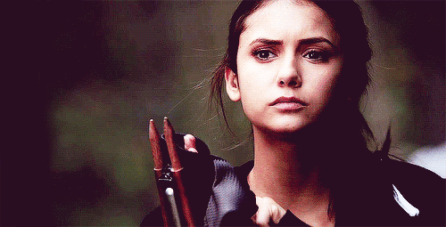c'mon, it's time for me to face the past. Vampire-hunter-elena-the-vampire-diaries
